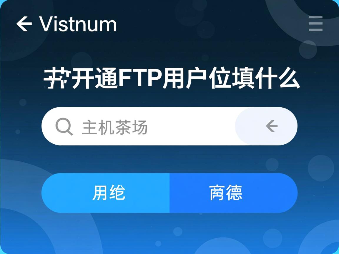 虚拟主机开通FTP用户名填什么? 第2张 虚拟主机开通FTP用户名填什么? 第2张
