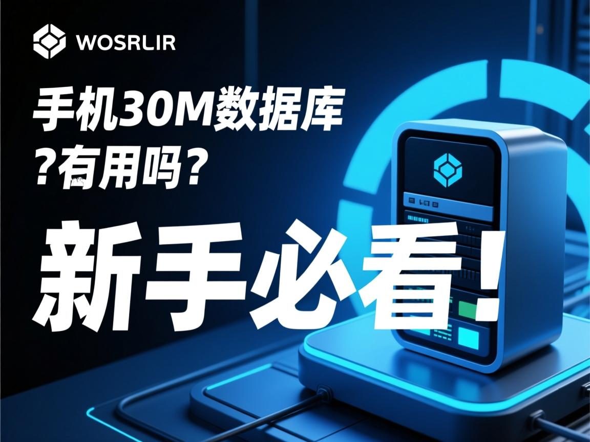虚拟主机30M数据库够用吗？新手必看！  第2张