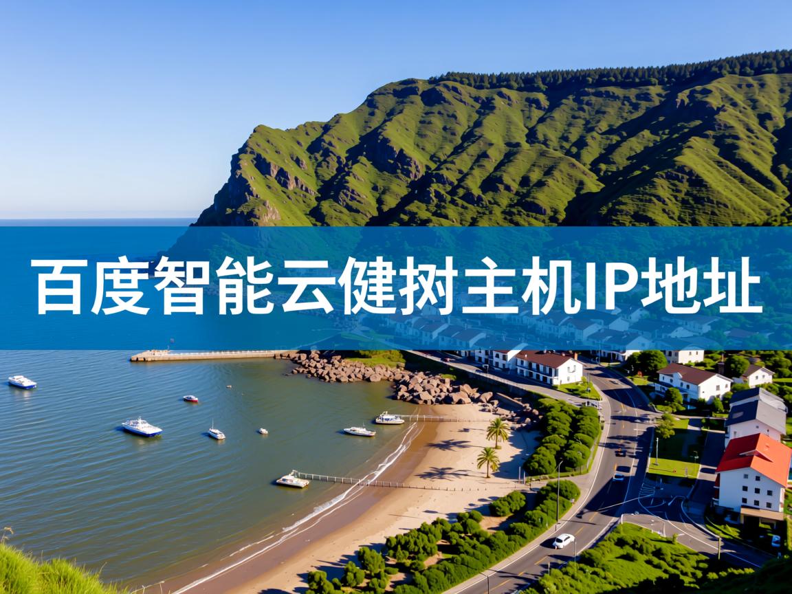 如何查百度智能云虚拟主机IP地址