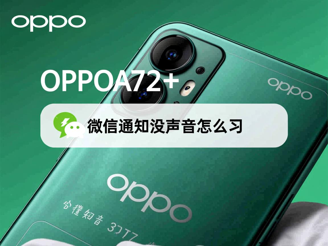 OPPOA72微信通知没声音怎么办 第3张 OPPOA72微信通知没声音怎么办 第3张