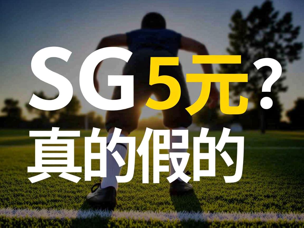 3G虚拟主机5元？真的假的？  第3张