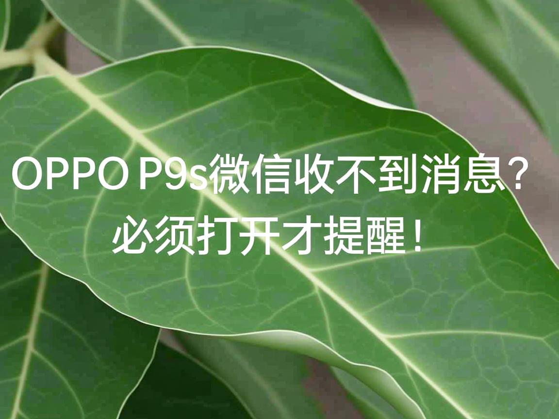 OPPO R9s微信收不到消息?必须打开才提醒! 第1张 OPPO R9s微信收不到消息?必须打开才提醒! 第1张