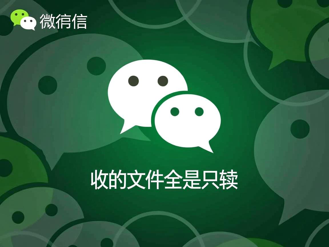 为什么微信收的文件全是只读? 第2张 为什么微信收的文件全是只读? 第2张