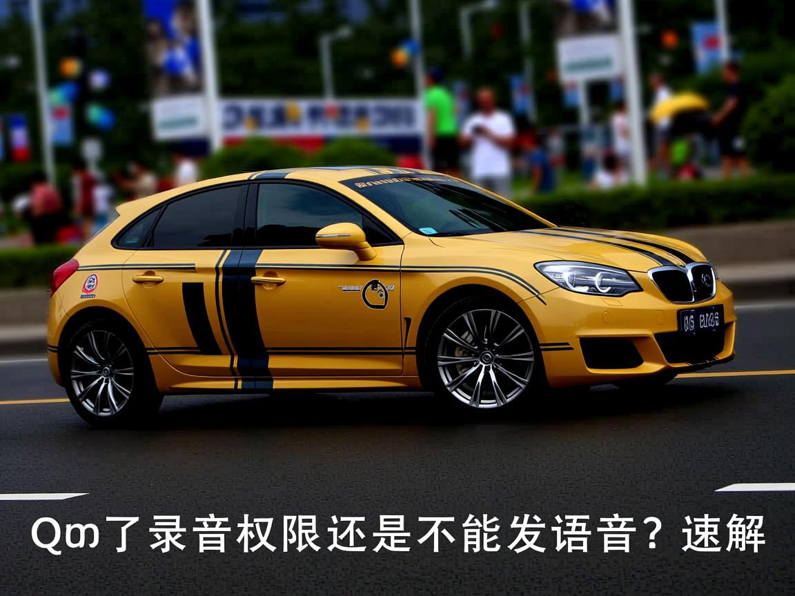 QQ开了录音权限还是不能发语音？速解  第1张