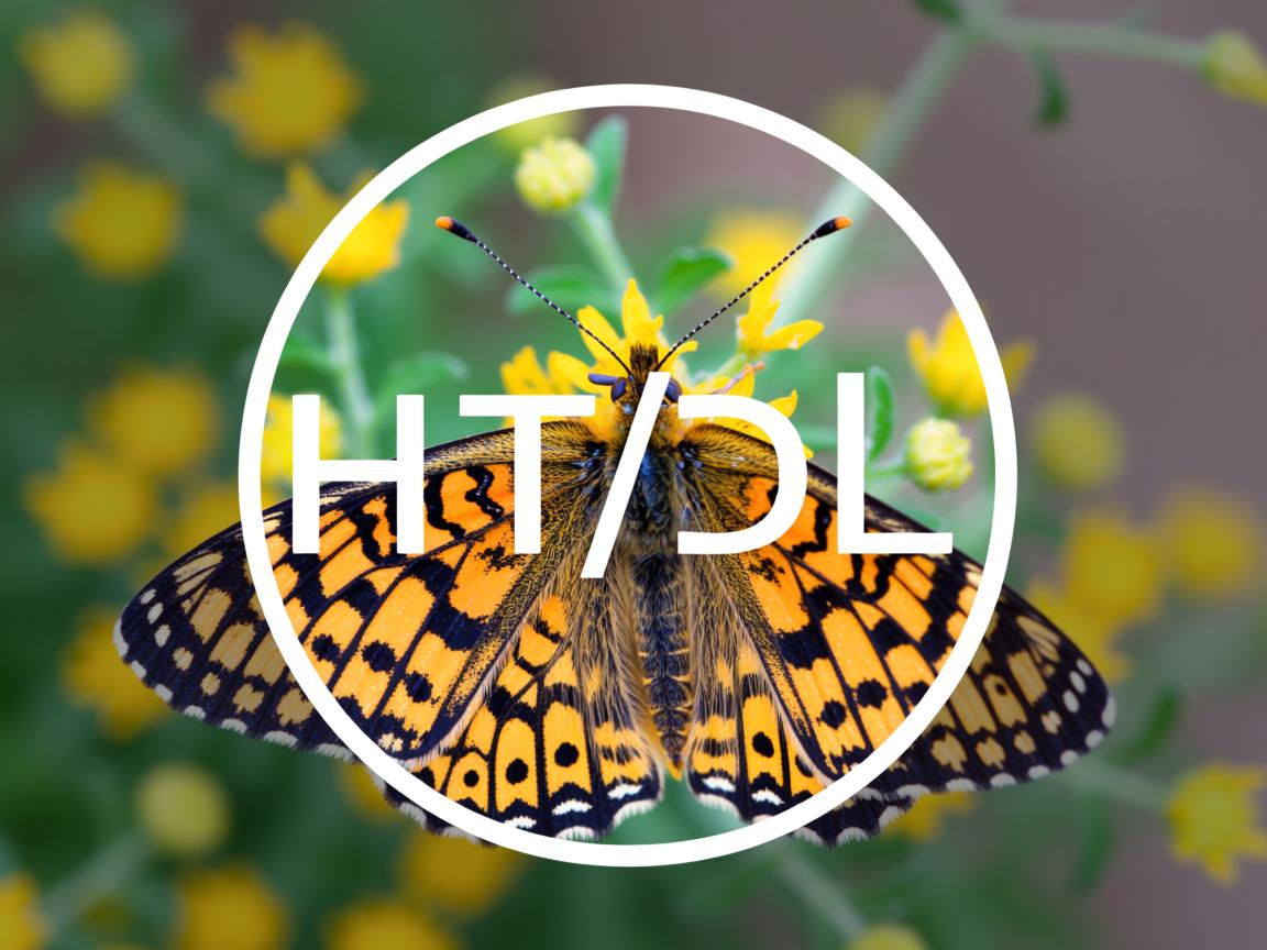 如何在HTML中居中图片? 第3张 如何在HTML中居中图片? 第3张