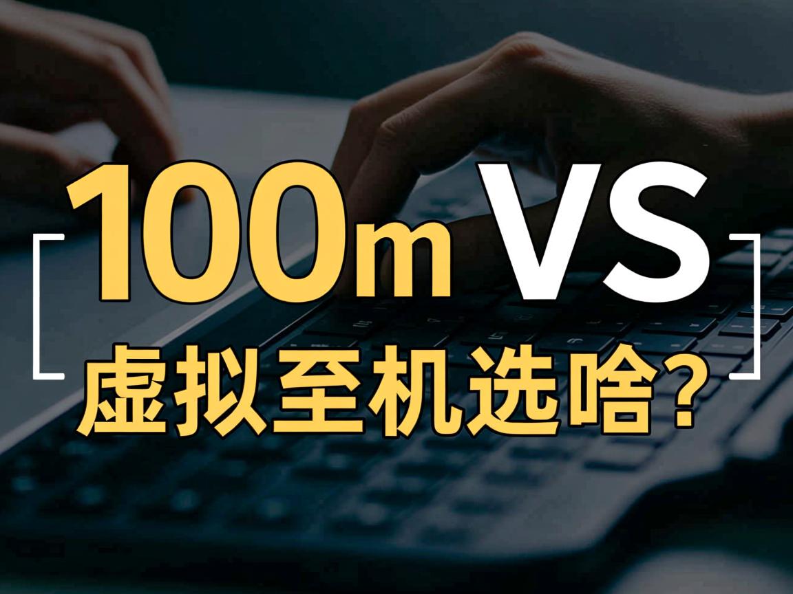 共享100m VS 虚拟主机选哪个? 第2张 共享100m VS 虚拟主机选哪个? 第2张