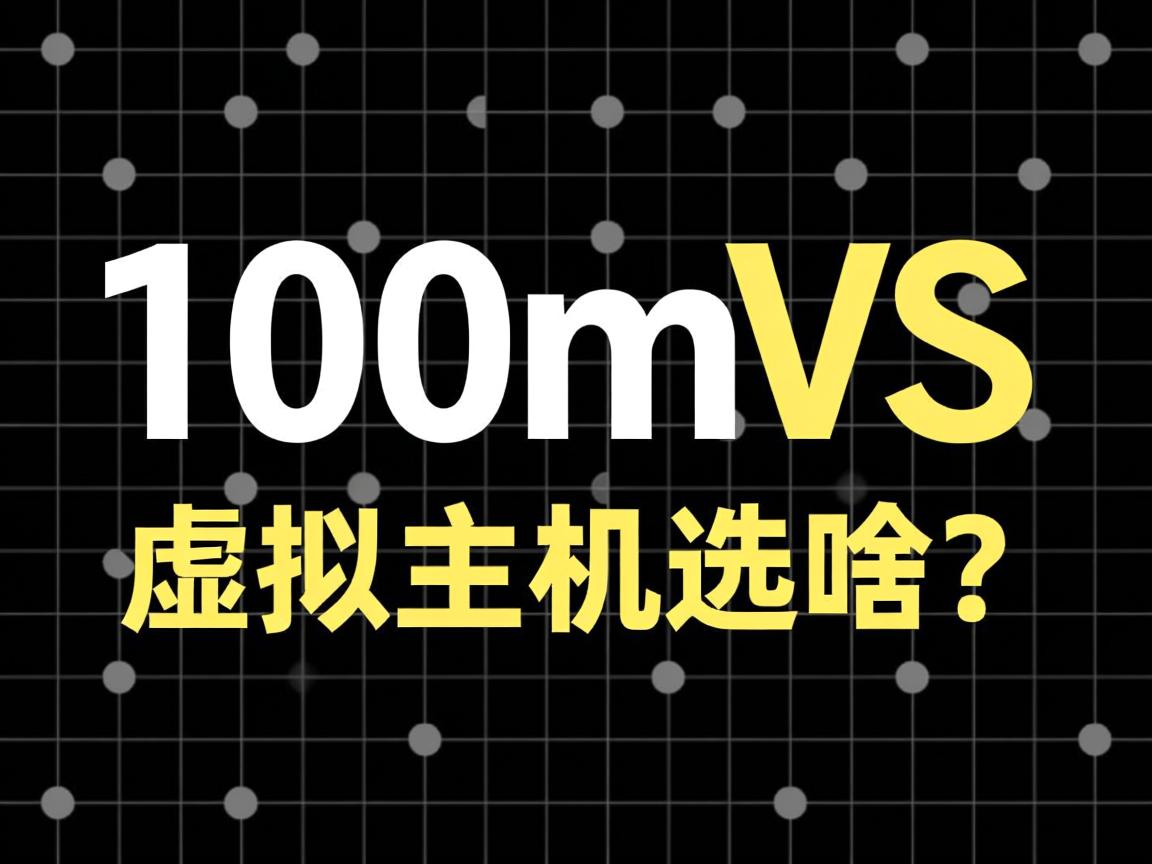 共享100m VS 虚拟主机选哪个? 第3张 共享100m VS 虚拟主机选哪个? 第3张