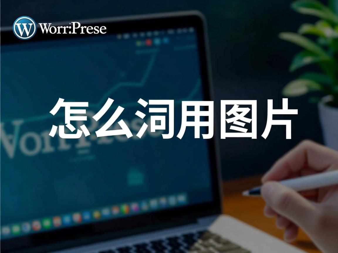 WordPress怎么调用图片? 第1张 WordPress怎么调用图片? 第1张