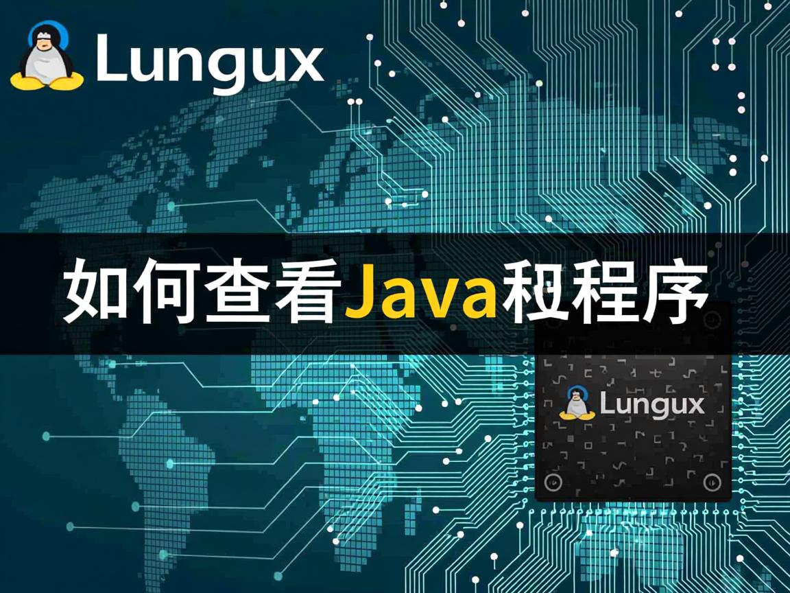 Linux如何查看Java程序