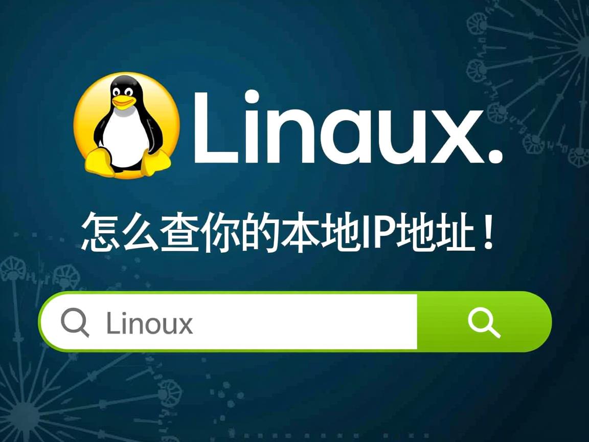 Linux怎么查你的本地IP地址? 第3张 Linux怎么查你的本地IP地址? 第3张
