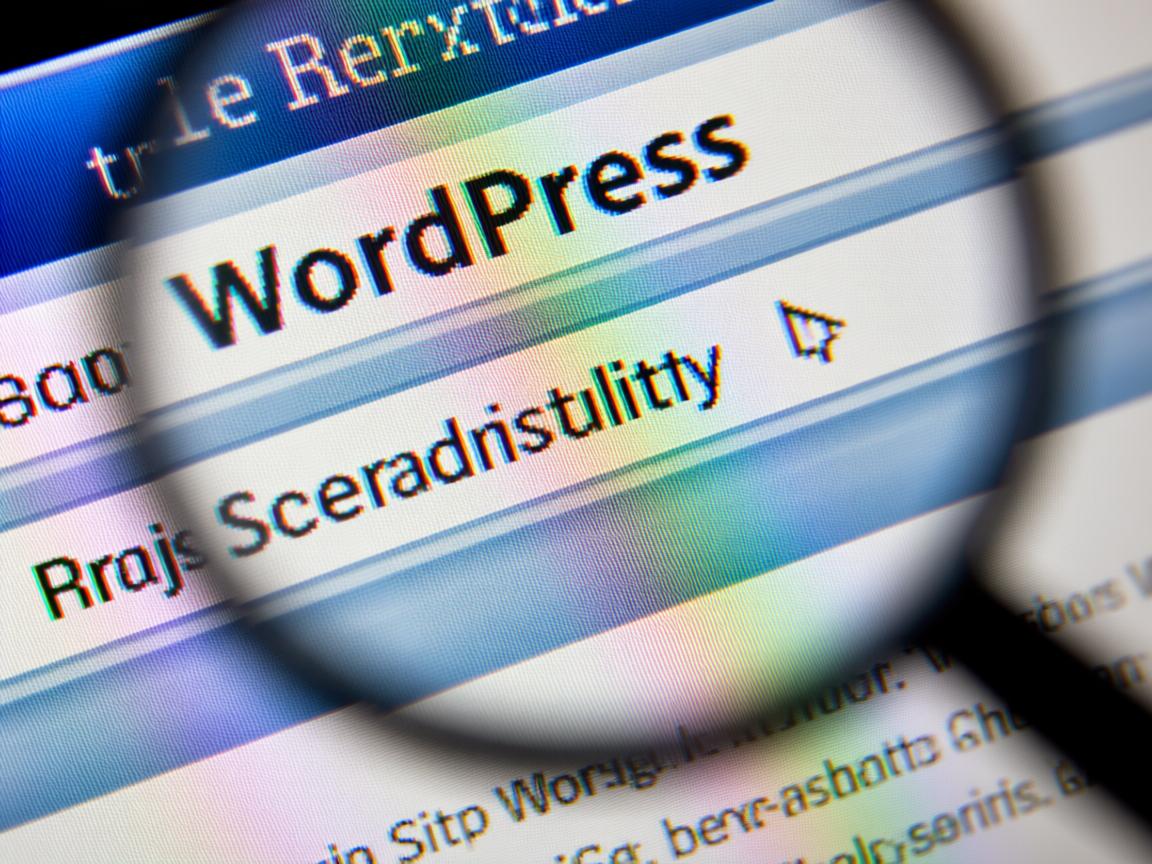 如何在WordPress快速设置网站搜索关键词? 第1张 如何在WordPress快速设置网站搜索关键词? 第1张