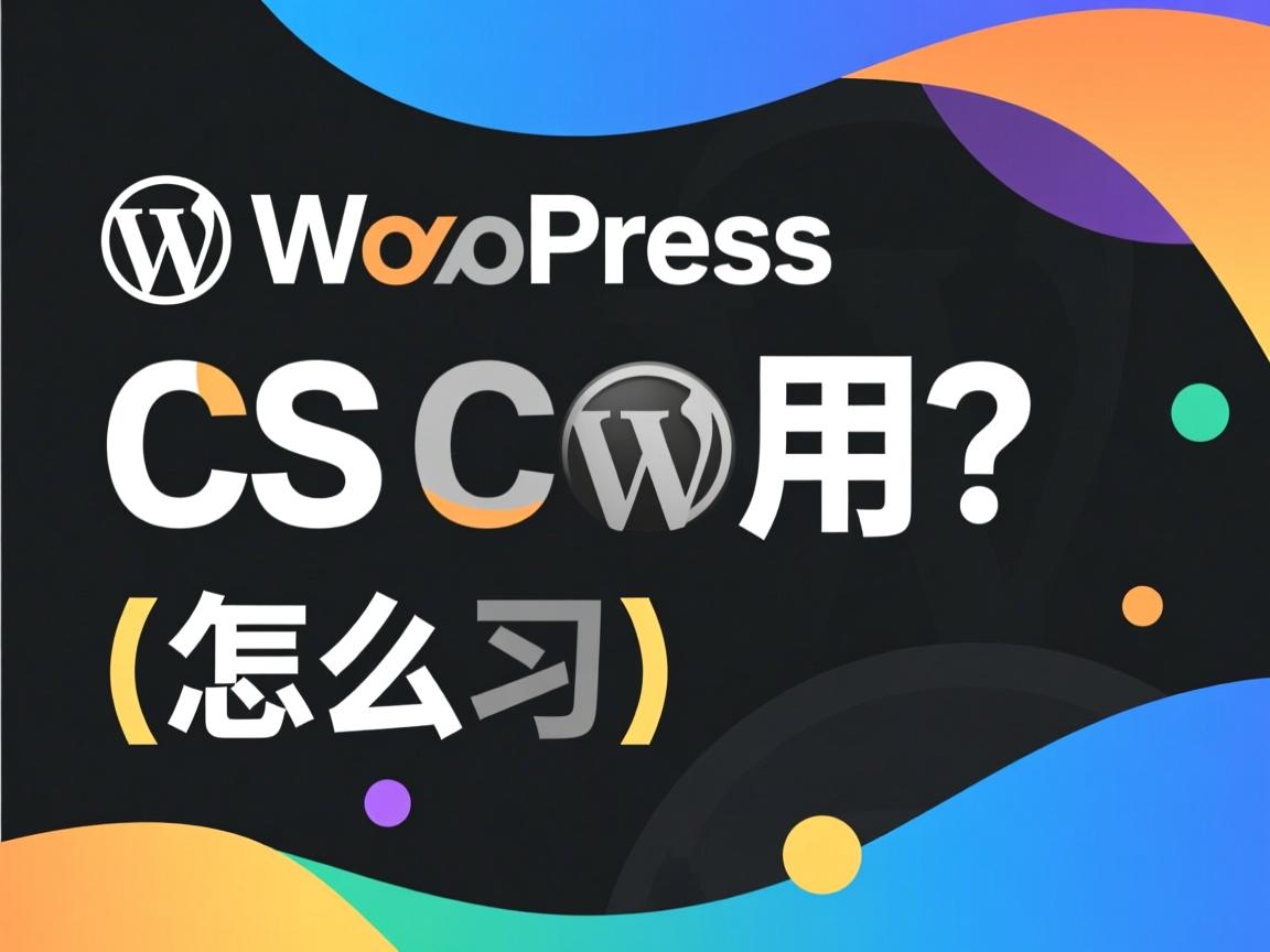 WordPress额外CSS怎么用? 第1张 WordPress额外CSS怎么用? 第1张