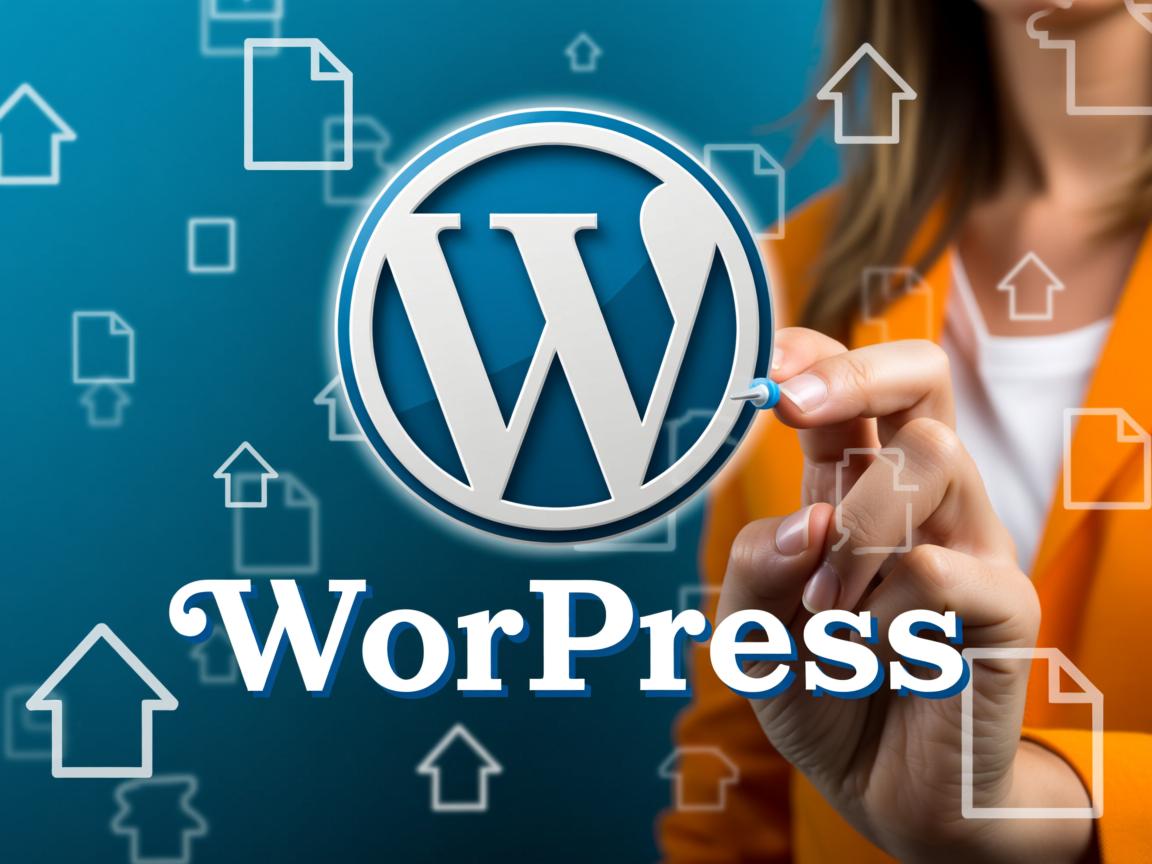 WordPress无法上传文件怎么办 第2张 WordPress无法上传文件怎么办 第2张