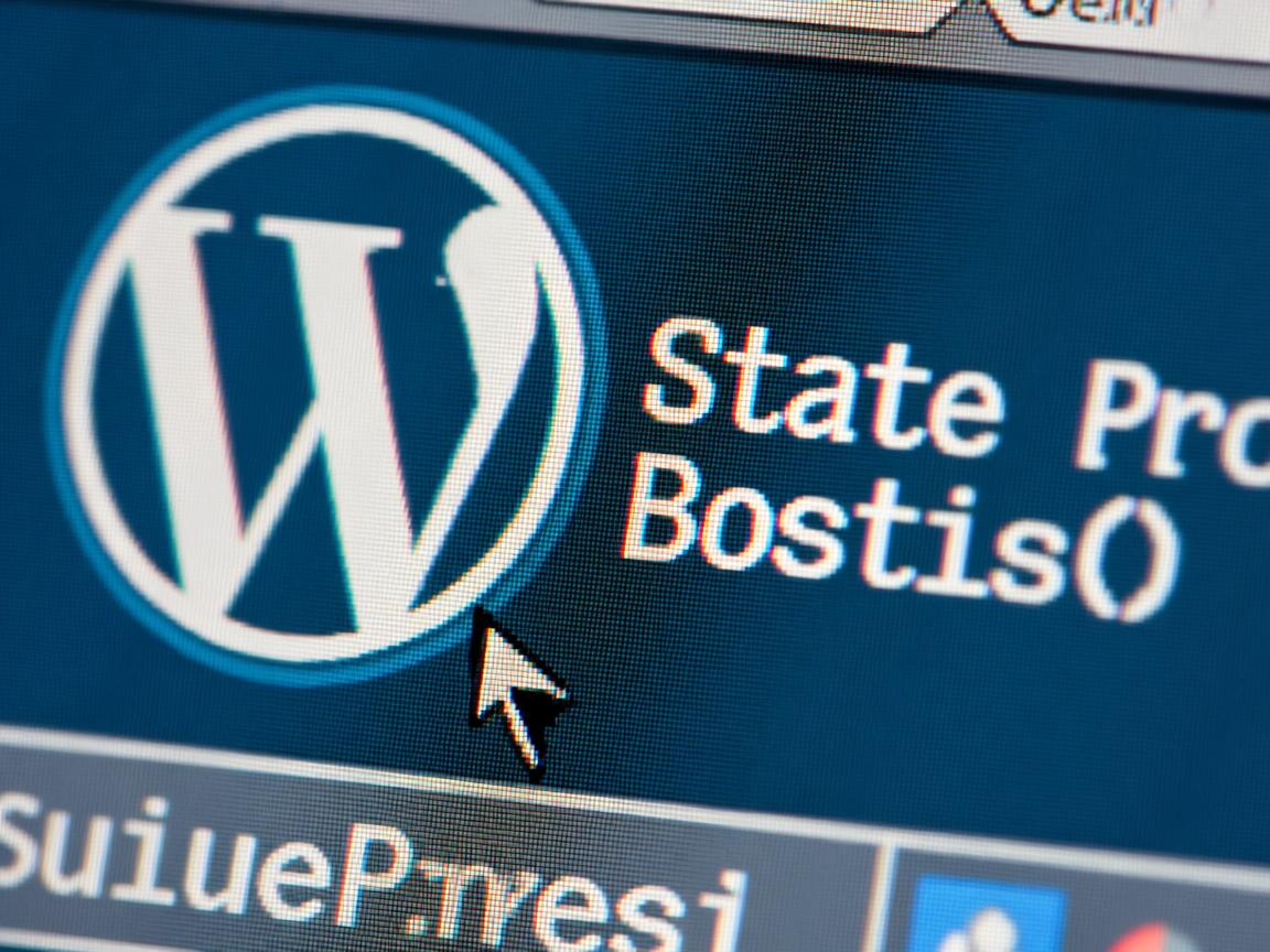 如何在WordPress添加站长统计代码 第3张 如何在WordPress添加站长统计代码 第3张