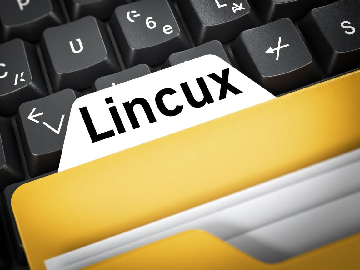 如何在Linux中进入文件夹? 第2张 如何在Linux中进入文件夹? 第2张