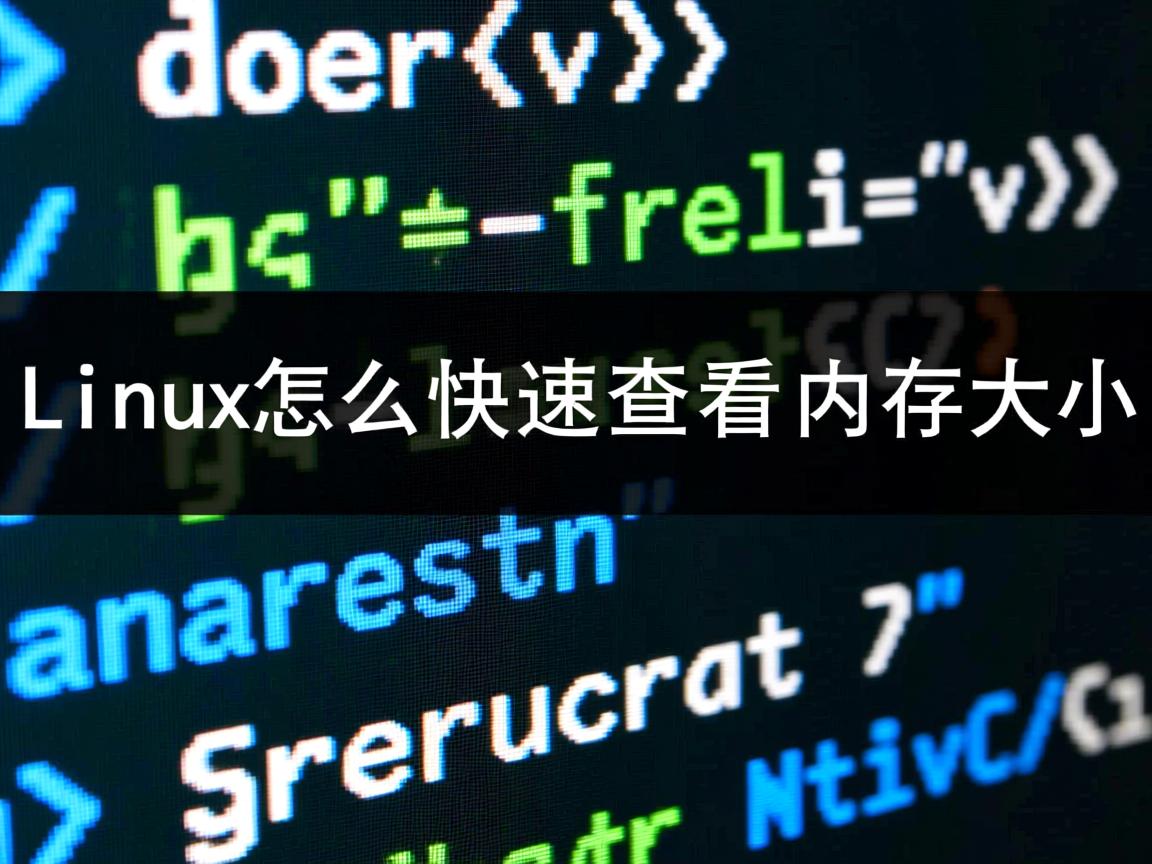 Linux怎么快速查看内存大小  第2张