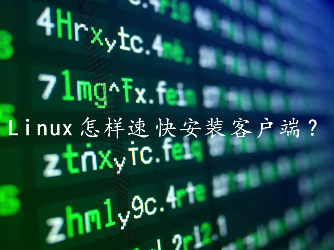 Linux怎样快速安装客户端？  第3张