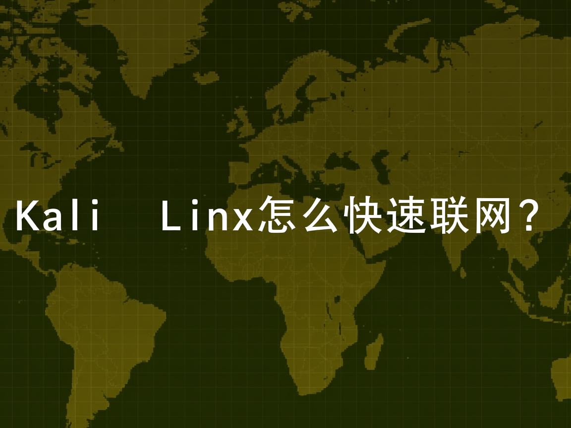 Kali Linux怎么快速联网? 第2张 Kali Linux怎么快速联网? 第2张