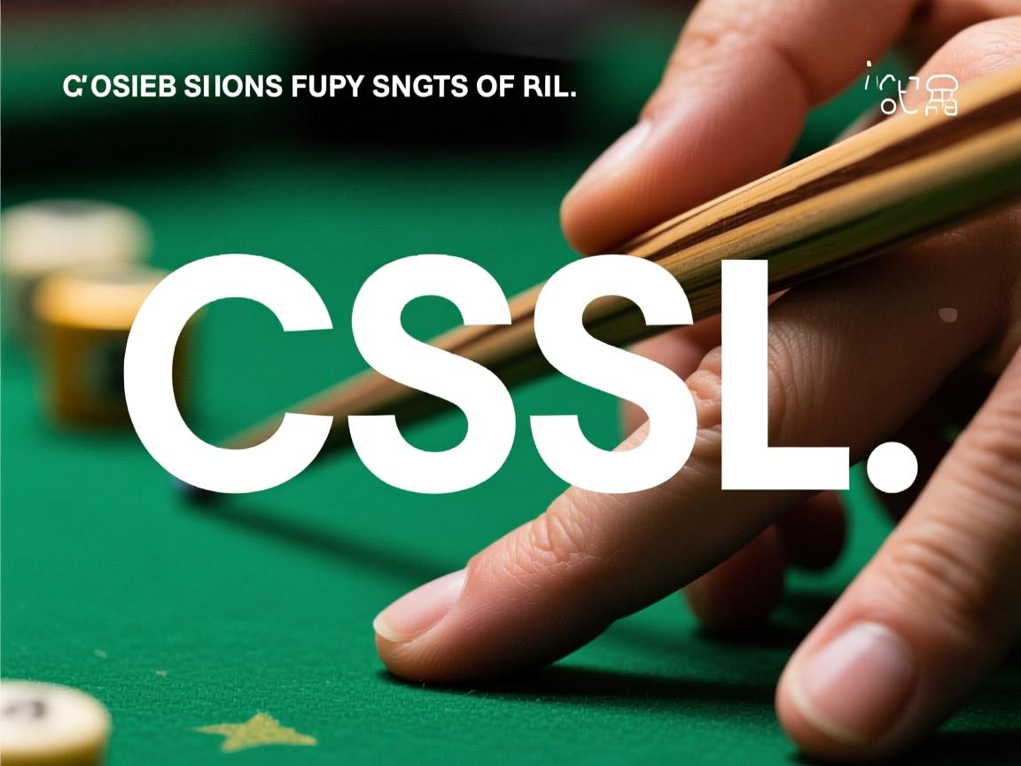 如何用CSS设置字体粗细？  第2张