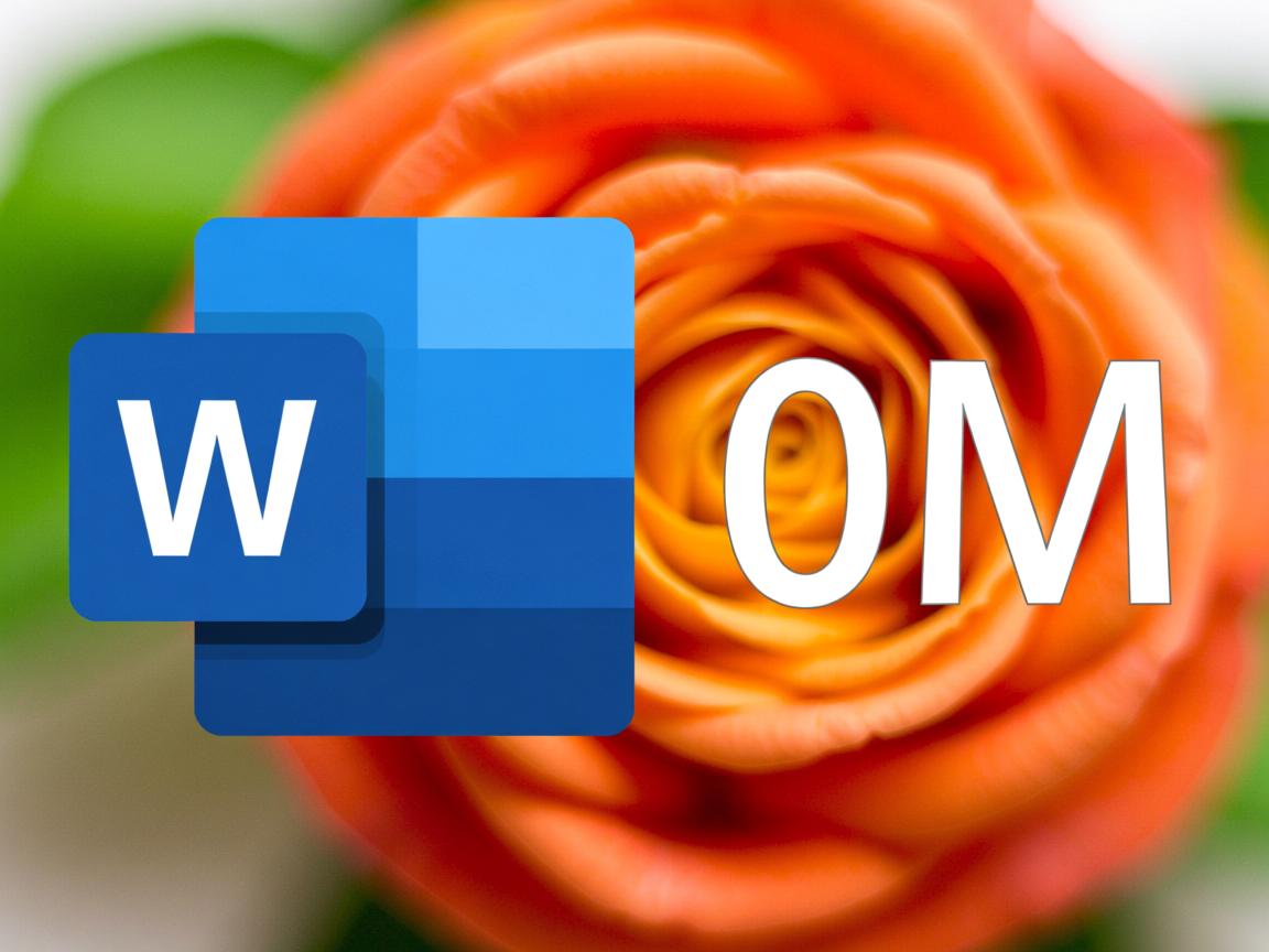 为什么word保存后是0M 第1张 为什么word保存后是0M 第1张