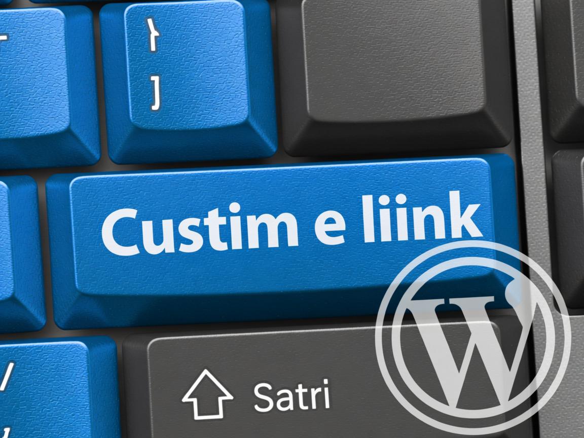 WordPress按钮如何添加自定义链接? 第1张 WordPress按钮如何添加自定义链接? 第1张