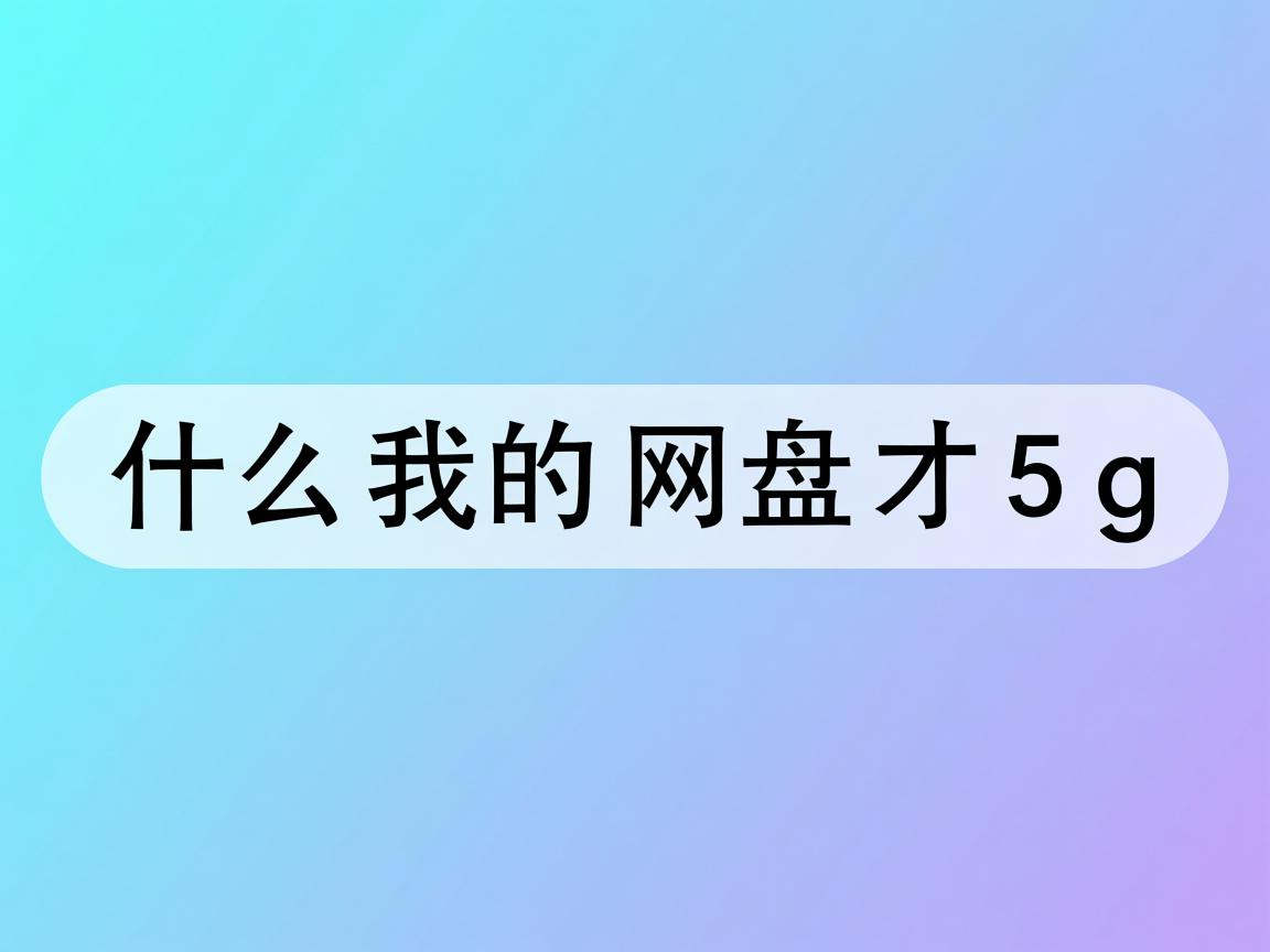 为什么我的网盘才5g  第2张