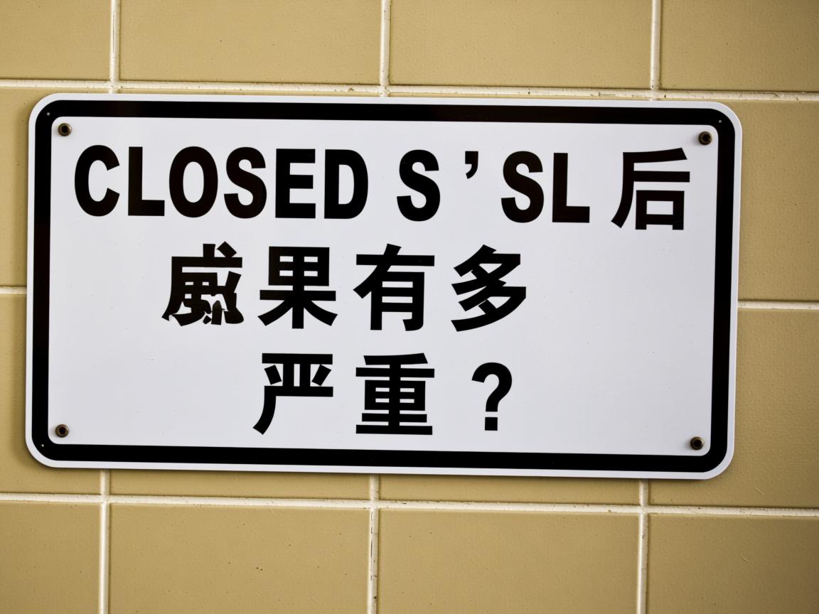 关闭SSL后果有多严重? 第2张 关闭SSL后果有多严重? 第2张