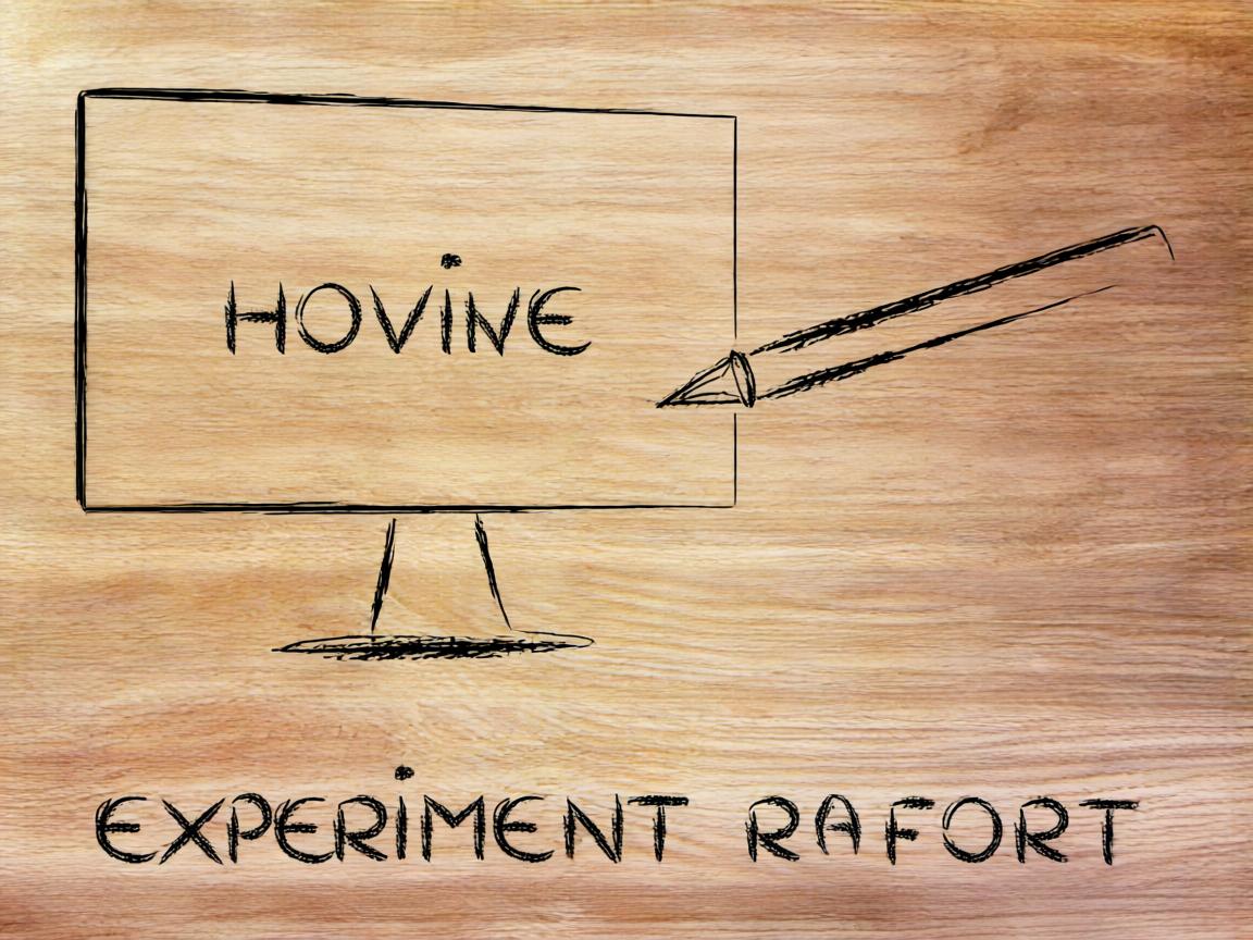 基于IP的虚拟主机的实验报告  第1张