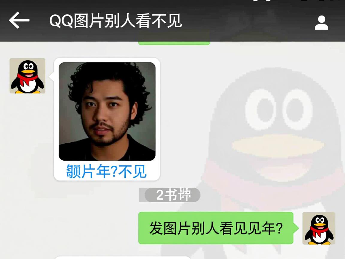 为什么QQ我发图片别人看不见 第2张 为什么QQ我发图片别人看不见 第2张