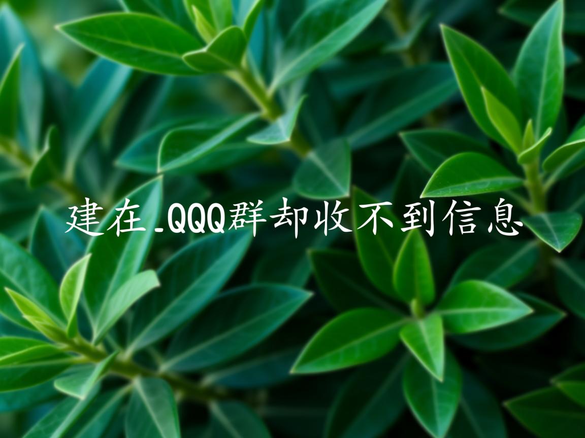 为什么你在QQ群却收不到信息 第3张 为什么你在QQ群却收不到信息 第3张