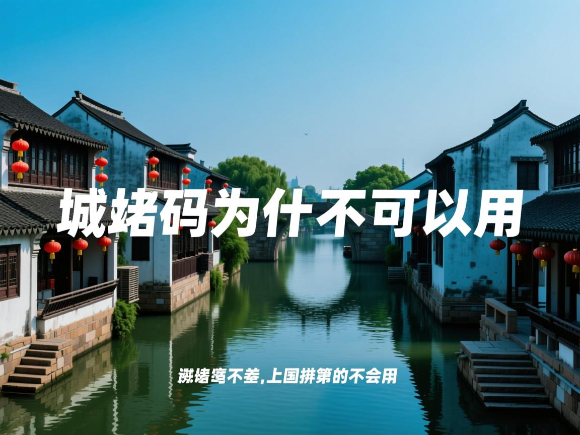 苏城码为什么不可以用  第1张