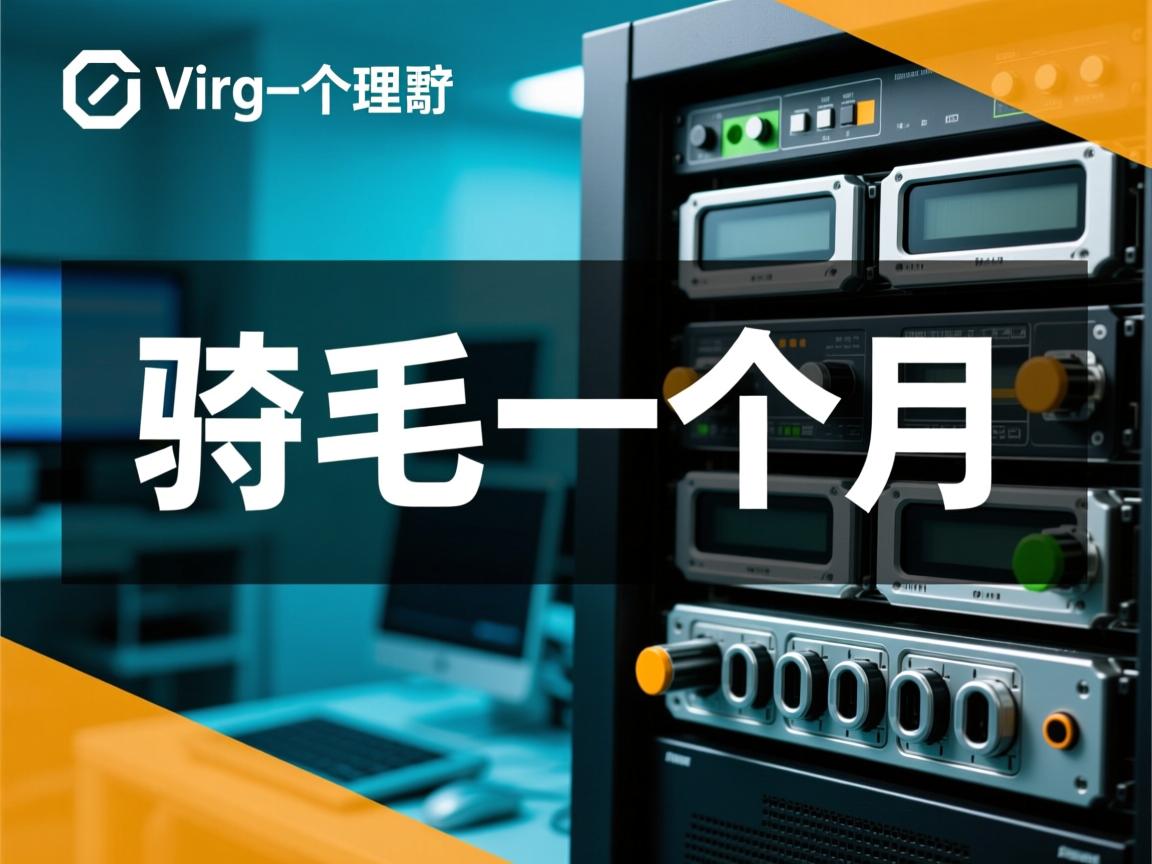 虚拟主机一个月 第3张 虚拟主机一个月 第3张