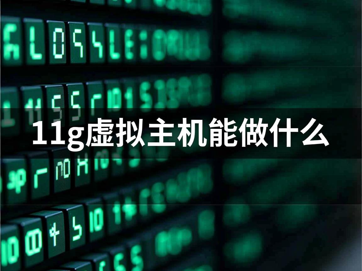11g虚拟主机能做什么 第1张 11g虚拟主机能做什么 第1张