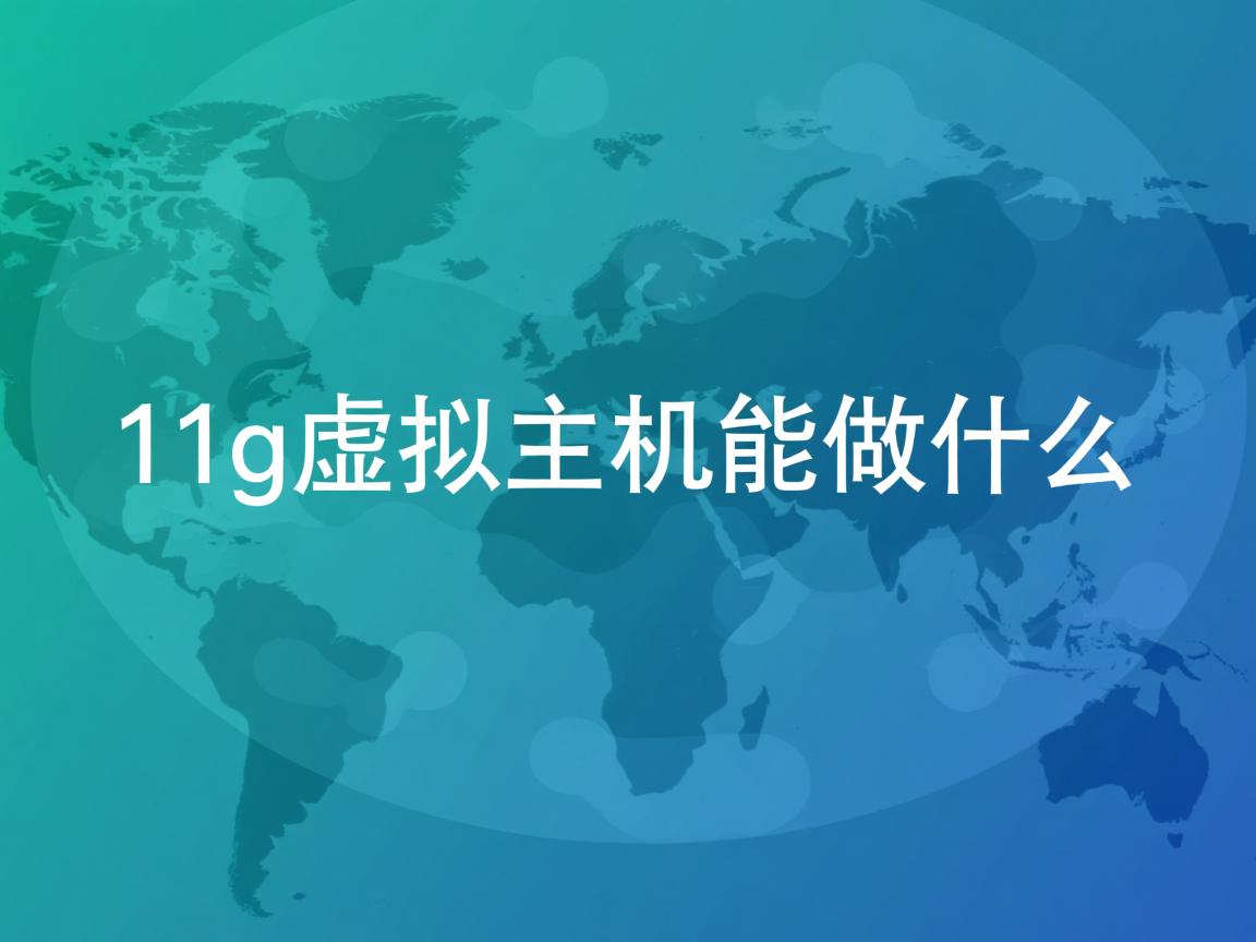 11g虚拟主机能做什么 第2张 11g虚拟主机能做什么 第2张
