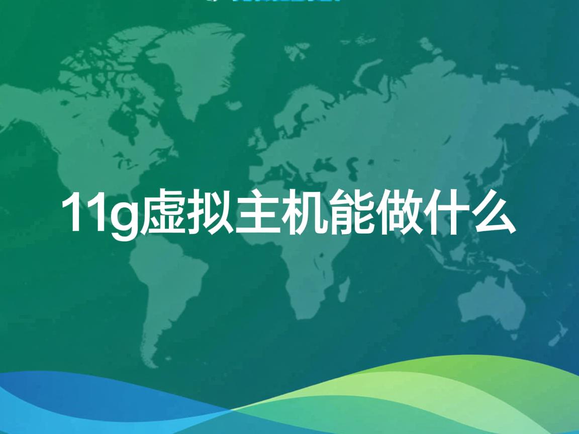 11g虚拟主机能做什么 第3张 11g虚拟主机能做什么 第3张