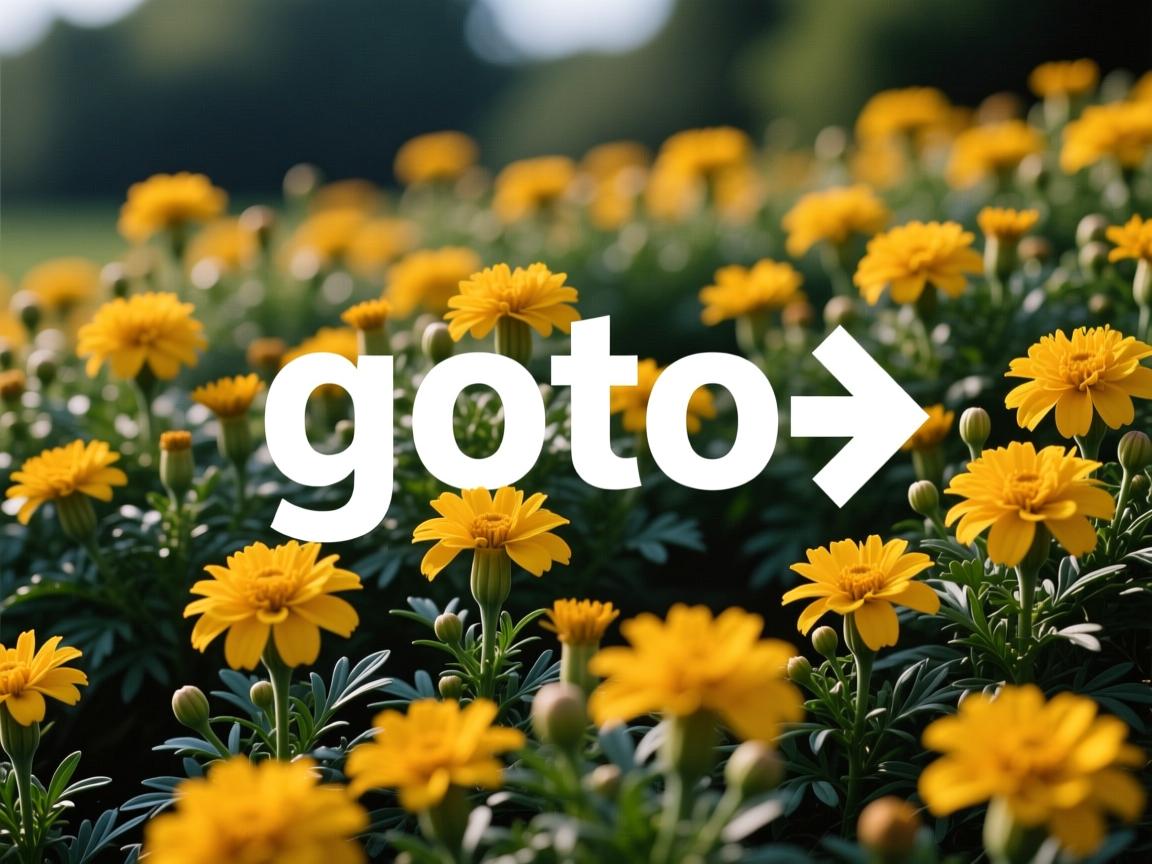 java goto怎么用 第2张 java goto怎么用 第2张