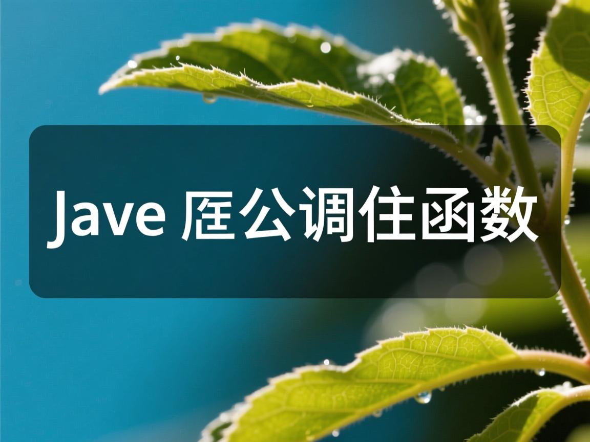 java main函数怎么调用函数 第1张 java main函数怎么调用函数 第1张