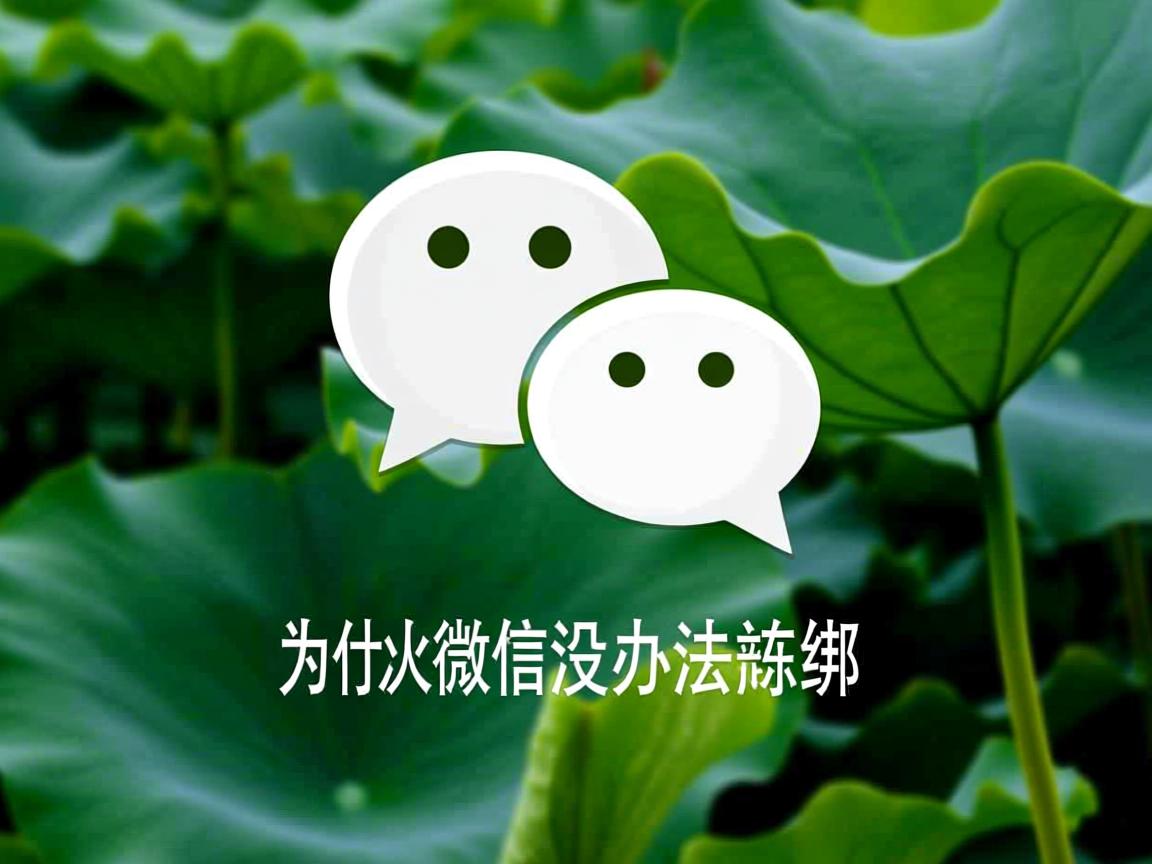 为什么微信没办法解绑 第3张 为什么微信没办法解绑 第3张