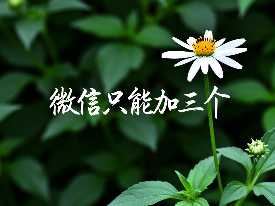 为什么微信只能加三个  第2张