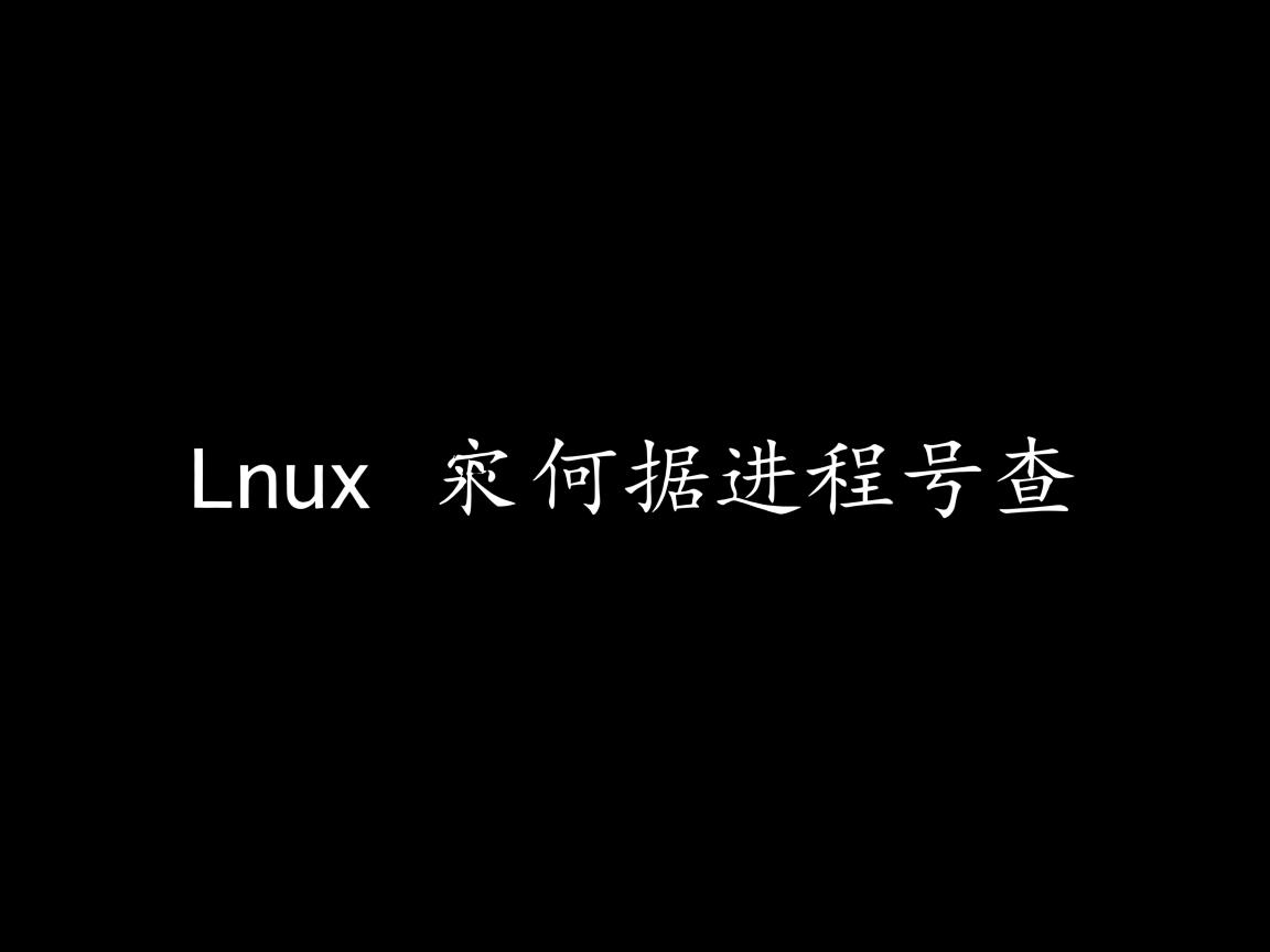 linux 如何根据进程号查 第2张 linux 如何根据进程号查 第2张