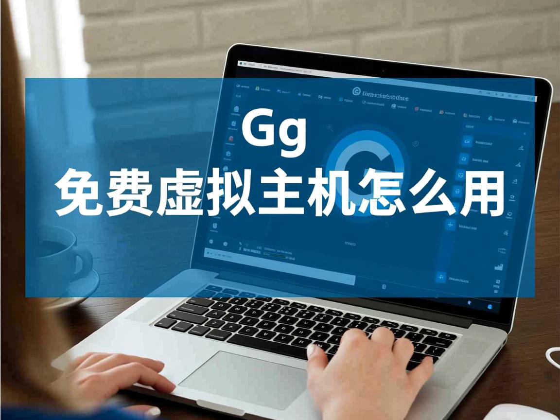 1g免费虚拟主机怎么用  第1张