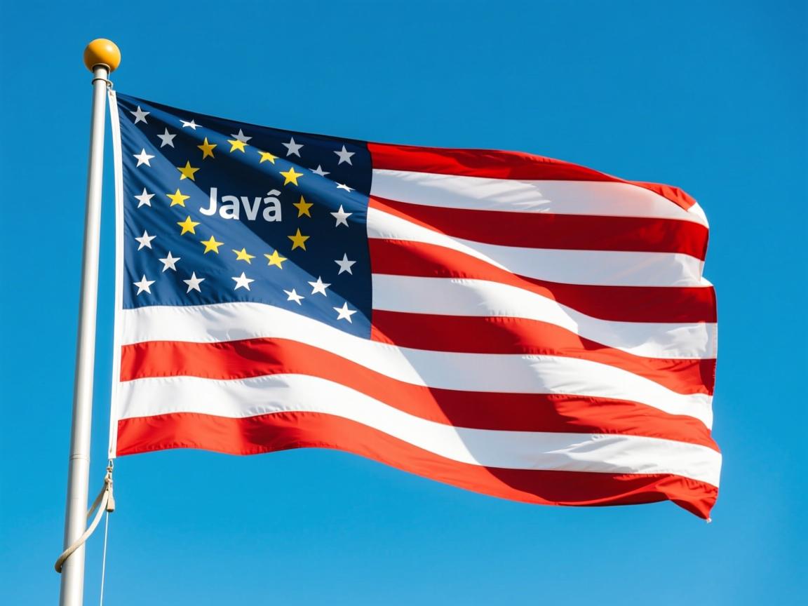 java flag怎么用