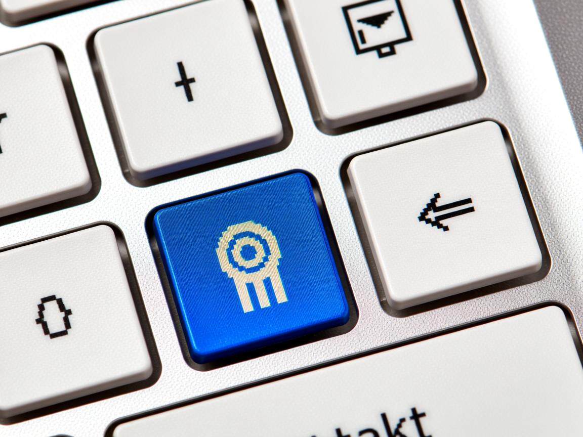 为什么word里面显示不出来  第3张