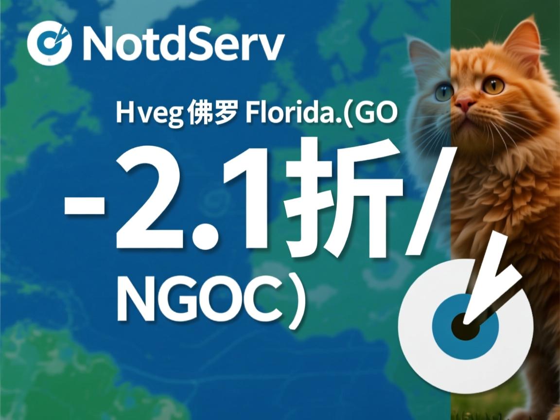 NodeServ -2.1折/佛罗里达/G口