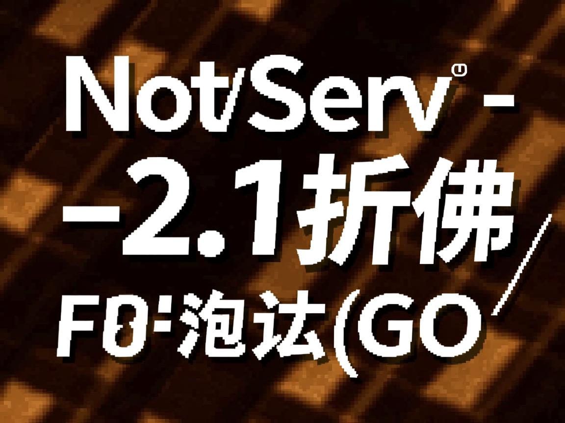 NodeServ -2.1折/佛罗里达/G口  第3张