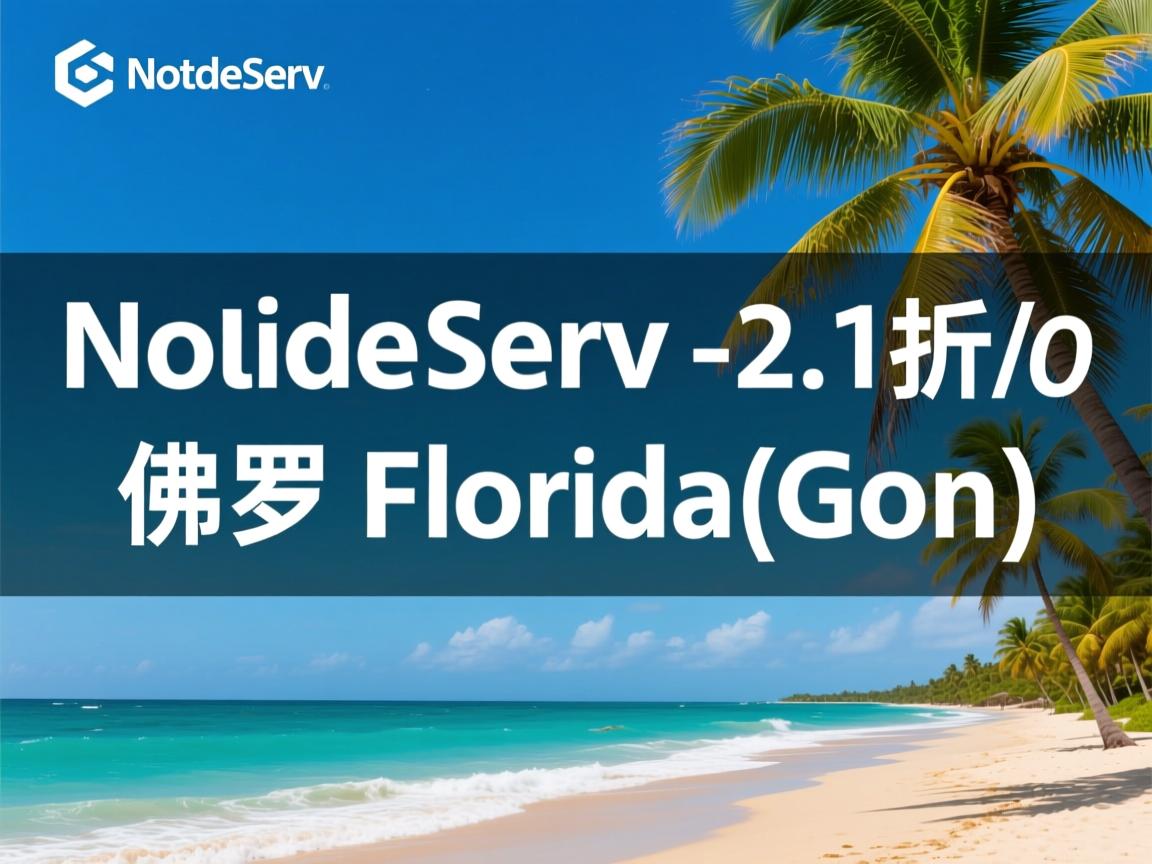 NodeServ -2.1折/佛罗里达/G口  第2张
