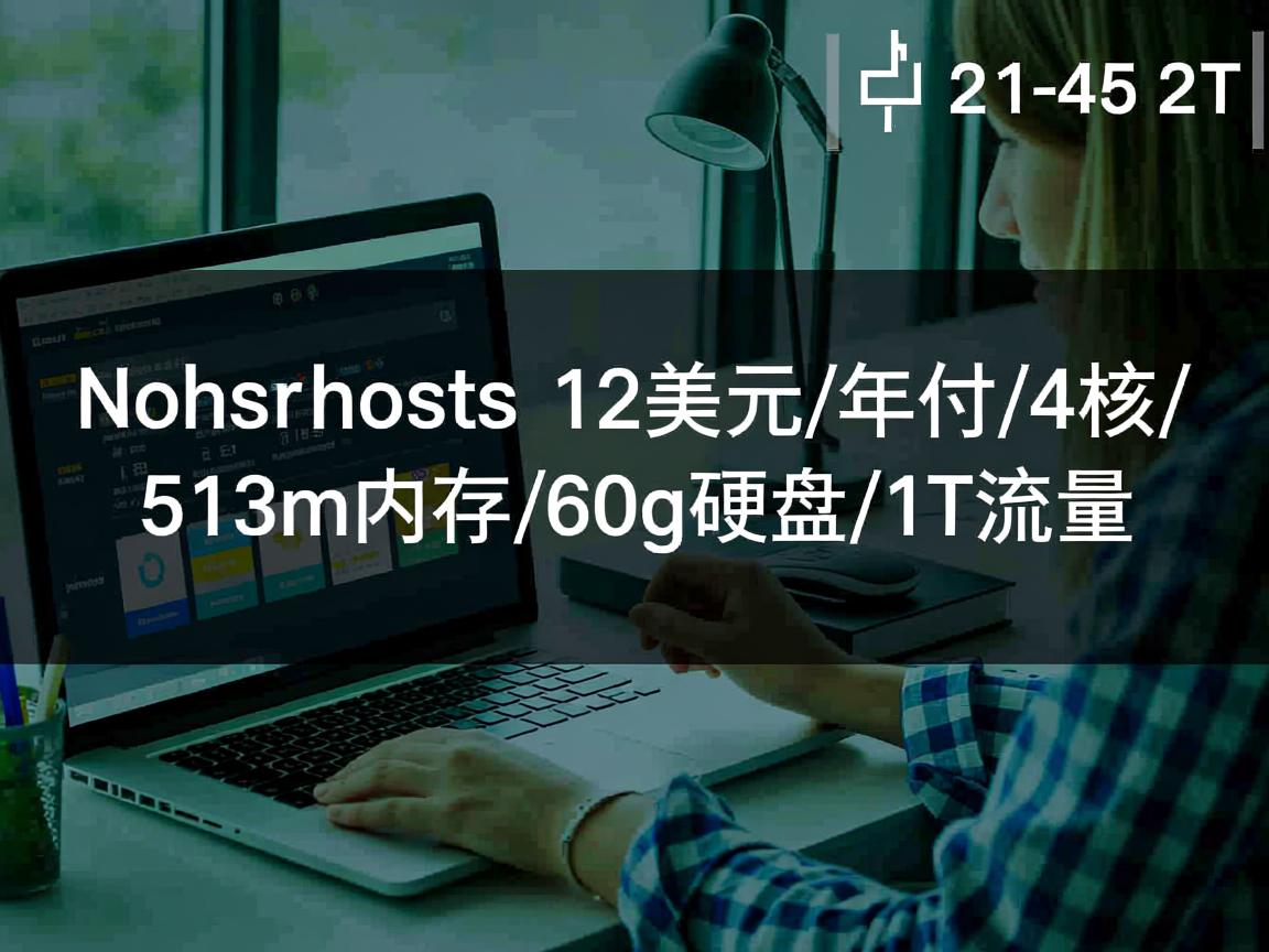reversehosts-12美元/年付/4核/512m内存/60g硬盘/1T流量 第2张 reversehosts-12美元/年付/4核/512m内存/60g硬盘/1T流量 第2张