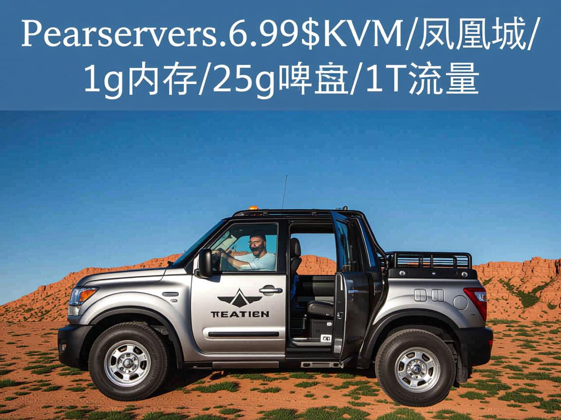 peakservers-6.99$/KVM/凤凰城/1g内存/25g硬盘/1T流量  第2张