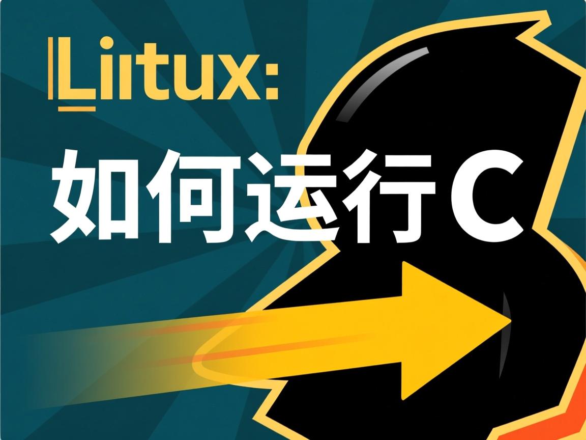 linux里如何运行c 第1张 linux里如何运行c 第1张