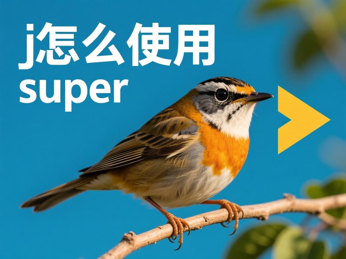 java怎么使用super